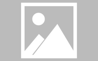临海玉兔网站制作头像app（玉兔素材抠图）